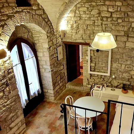 Brizi 5