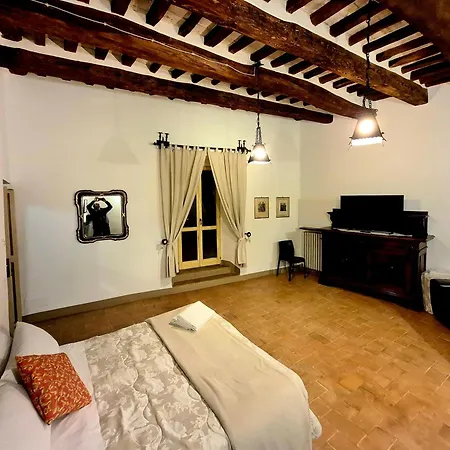Brizi 5